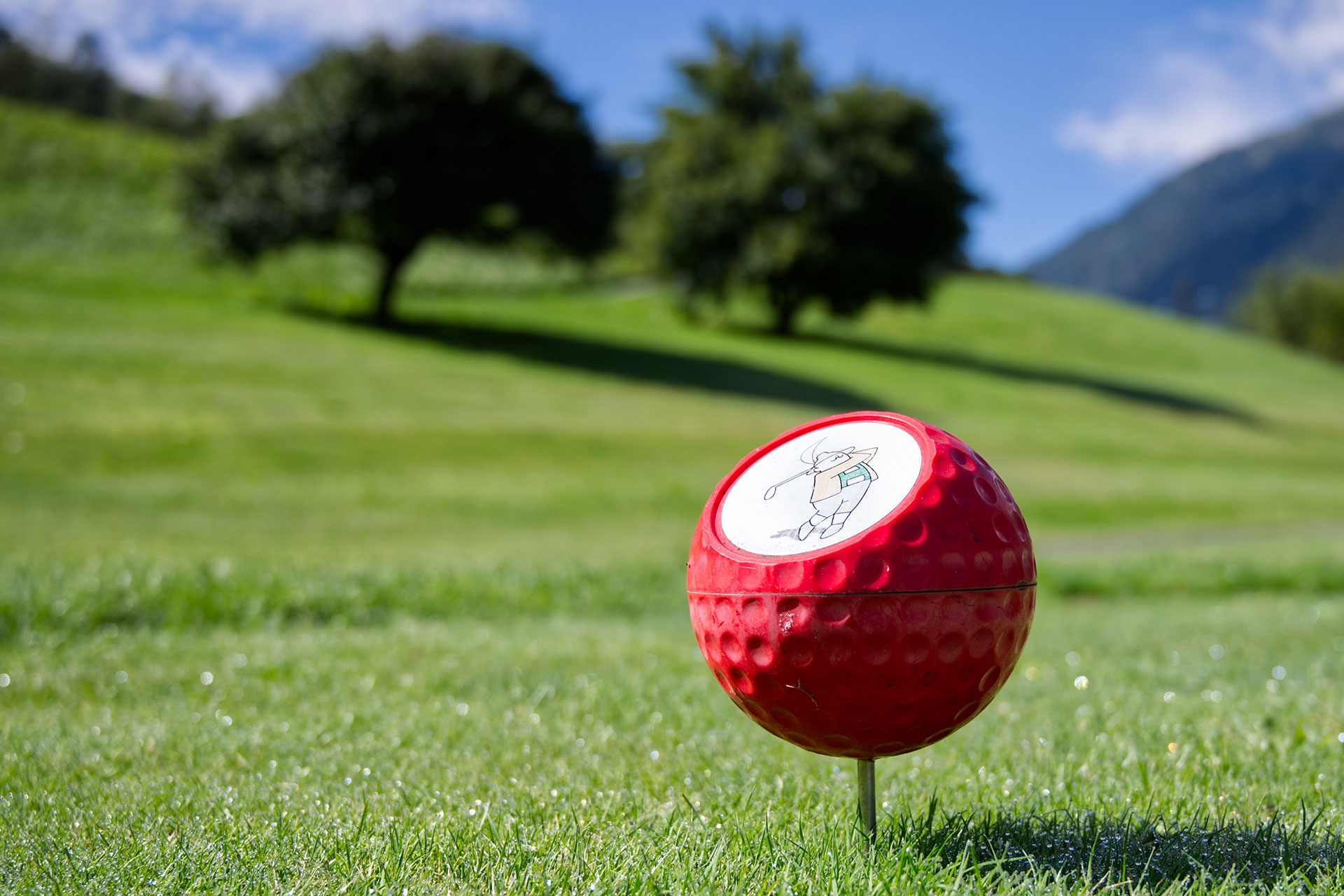 Landhaus Freiburgerhof aktiv im Sommer